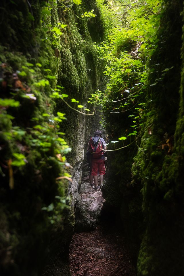 Canyon des Gueulards